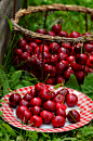 cherries-1503977_1280
