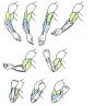 #涂图分享# #绘画参考# #绘画素材# 肩臂动态参考~图源：KITAJIMAのお絵かき研究所 ​​​​