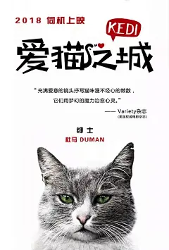 爱猫之城 Kedi 海报