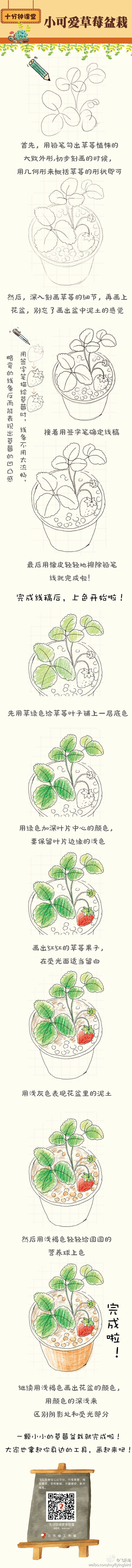 飞乐鸟的照片 - 微相册