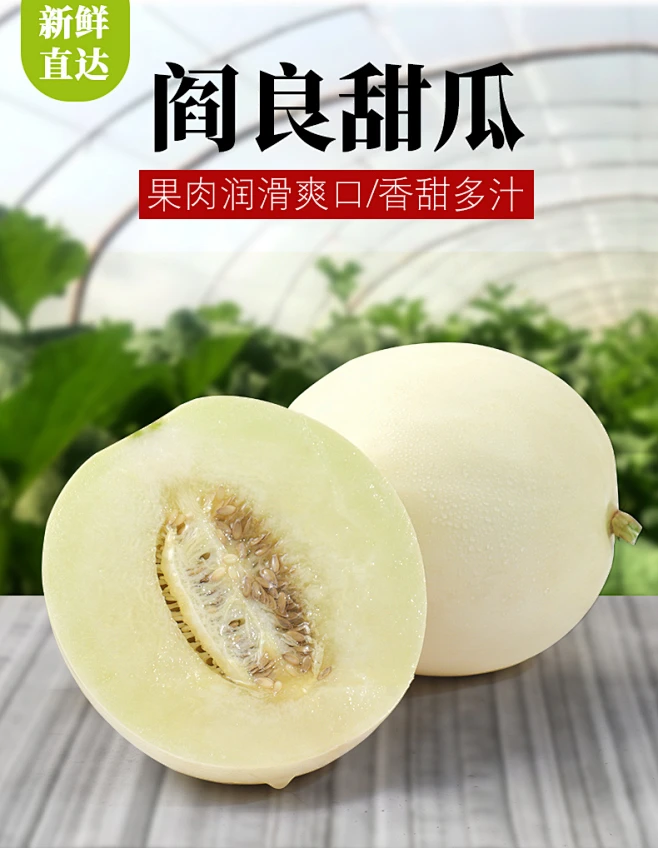白皮阎良甜瓜小甜瓜新鲜10斤装孕妇水果脆甜皮薄香瓜密瓜小白瓜-tmall.com天猫-花瓣网