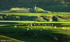 _小橘灯采集到场景-实景