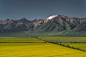 zongnan-bao-x-3K73yUqSI-unsplash