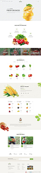 一组生鲜水果蔬菜类的电商网站设计参考 #电商官网设计精选# #网页设计# ​​​​