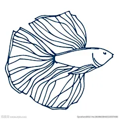 手绘海洋生物