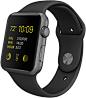 42mm Space Gray Aluminum Case
with Black Sport Band