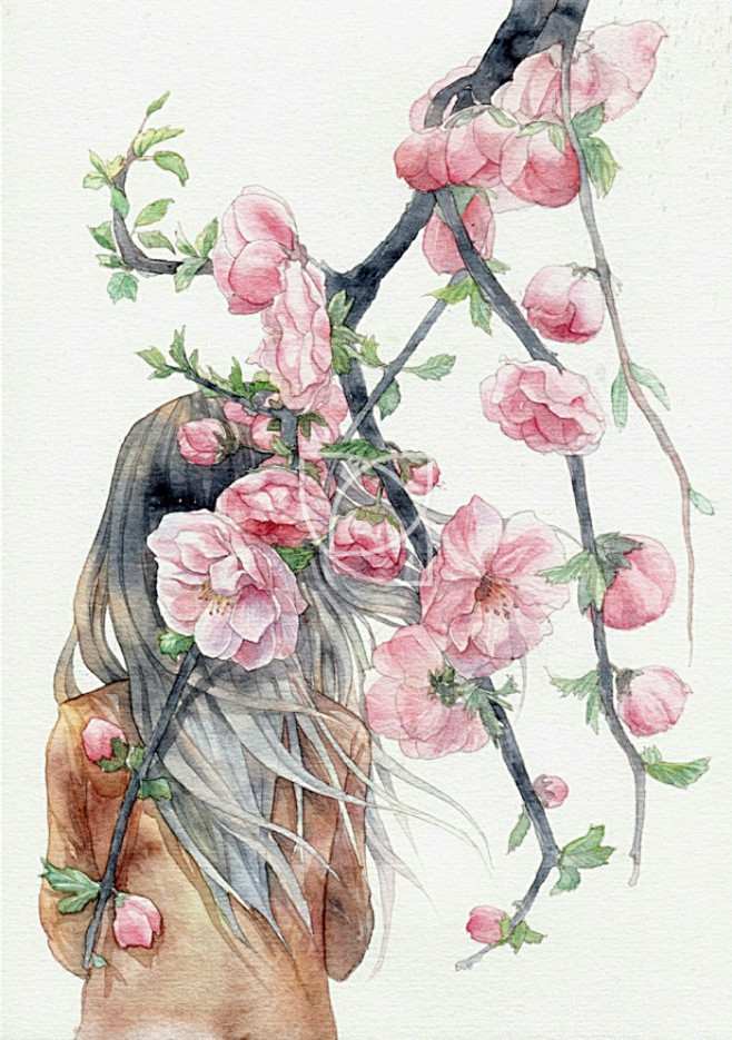 水彩插画