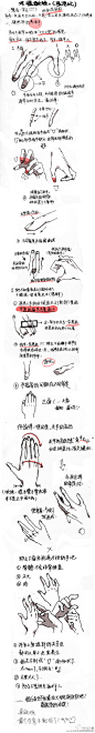 #绘画学习# 一些简单的动漫人体系列画法，转需！