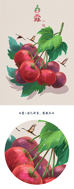 你丫才美工~采集到节日 / 节气