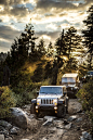 2013 Jeep Wrangler Rubicon 10th Anniversary Edition Image