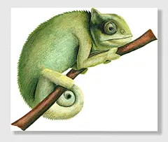 手绘树叶植物绿色-图巨人