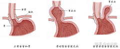 XxGGGGG采集到室内