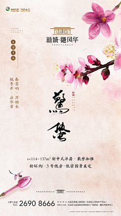 Vino-采集到素材
