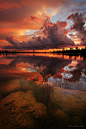 Pine Glades Lake, Everglades National Park, Florida