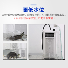 娟娟1990采集到乌龟过滤器