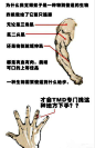 为什么我觉得蚊子是一种特别SB的生物－品读－收集阅读的价值