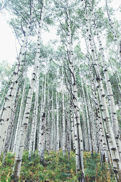 沐熙好采集到心枫