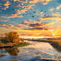 The slowly falling sunset, lonely wild geese, flying together, the autumn river and vast sky connected, the picture is beautiful, illustrated, ultra high definition, super detail. 8k - ar3:4--v 6.0

--stylize
 50