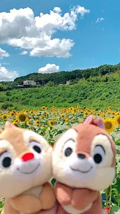 壁纸ins 先点赞再保存 ​​​​