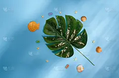 热带树叶、贝壳、海星和五颜六色的玻璃石躺在海底。最小的夏季海洋概念在青色背景与水的剪影