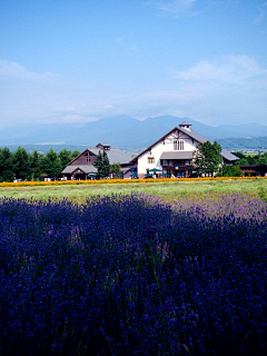 爱她小天天采集到风景|田园乡村