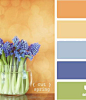 Color Palettes