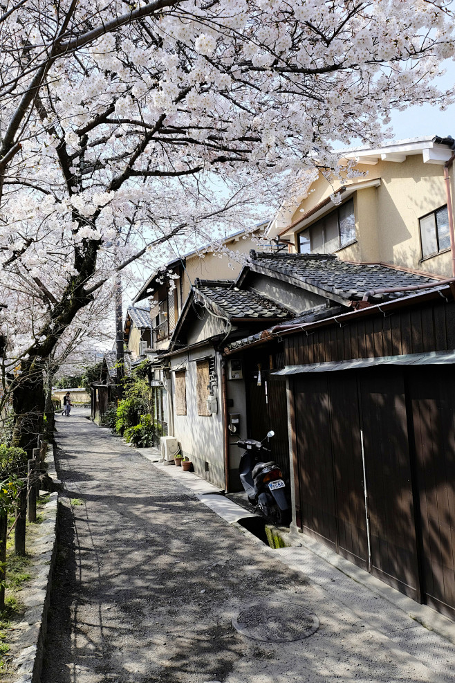 Kyoto Street, Japan