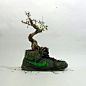 盆景植物 NIKE 球鞋变身小盆栽