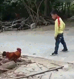 窗前明月光采集到动态，笑