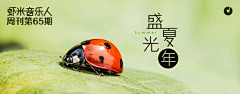Holly~采集到Banner