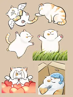 “人类你在干嘛”系列治愈猫猫合集 - 小红书