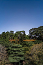 葡萄牙树梢漫游步道景观装置设计 | Carlos Castanheira_景观中国 : 塞拉维斯（Serralves）树冠之间的步道让人们能在空间、时间、或时空上的漫步。若想打造一个新的步道，那它一定要建造在公园树林那些美丽壮观的树冠之中。步道始于公园的最东端：新建的电影院那里。它缓缓向天空抬升，脚步之间，将我们带入树冠，地面远去了。我们朝一棵软橡木树走着，快接近时，绕着它粗糙的树干，向一棵优雅的红杉继续