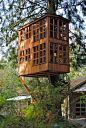 Trillium at Treehouse Point | places to hang | Pinterest