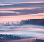 Landscape fog summer trees forest scenic FINEART nordic finland