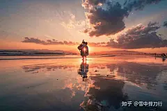 (14 条消息) 你用过最喜欢的壁纸是哪一张？ - 知乎 : 呆萌镇。END。