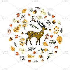 圆形的框架与一组森林秋天的元素和一个可爱的鹿在中心的组成。手绘的涂鸦风格。在白色背景上的全彩合成。