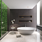 Competition Bathroom : Competition Projectcategory: bathroom