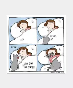 看了这套插画，原来喵真的比人聪明（手动狗头） : 有意思！