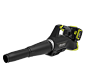 120V Li-ion Blower