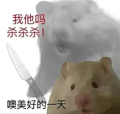 表情包-小红书搜索