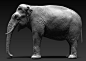 asian elephant, Dmitrii Prosov : sculpt