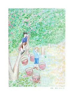 -插画家园-插画家园彩铅原创手绘-插画家园杨梅-插画家园