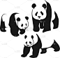 好奇心,野生动物,熊猫,白色,可爱的,自然,图像,矢量,分离着色,亚洲