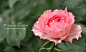 7b5978d98d1001e98914c9c1b00e7bec55e7976e