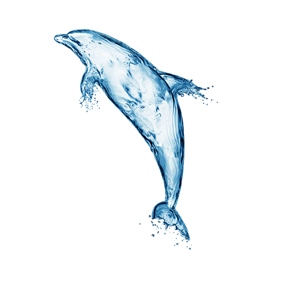 创意水花素材 海豚 PNG素材