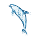 创意水花素材 海豚 PNG素材
