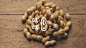 brand branding  CIS Food  logo peanut 企業識別 品牌 花生 食物-01