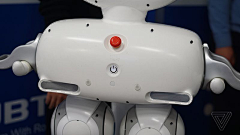 JIA・YI采集到robots