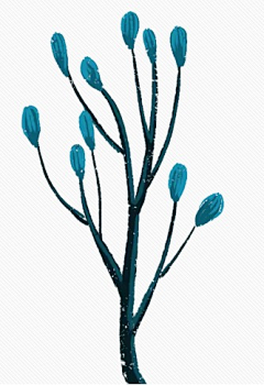 魔鬼的牙签采集到插画-植物元素