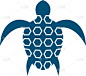 turtle logo icon